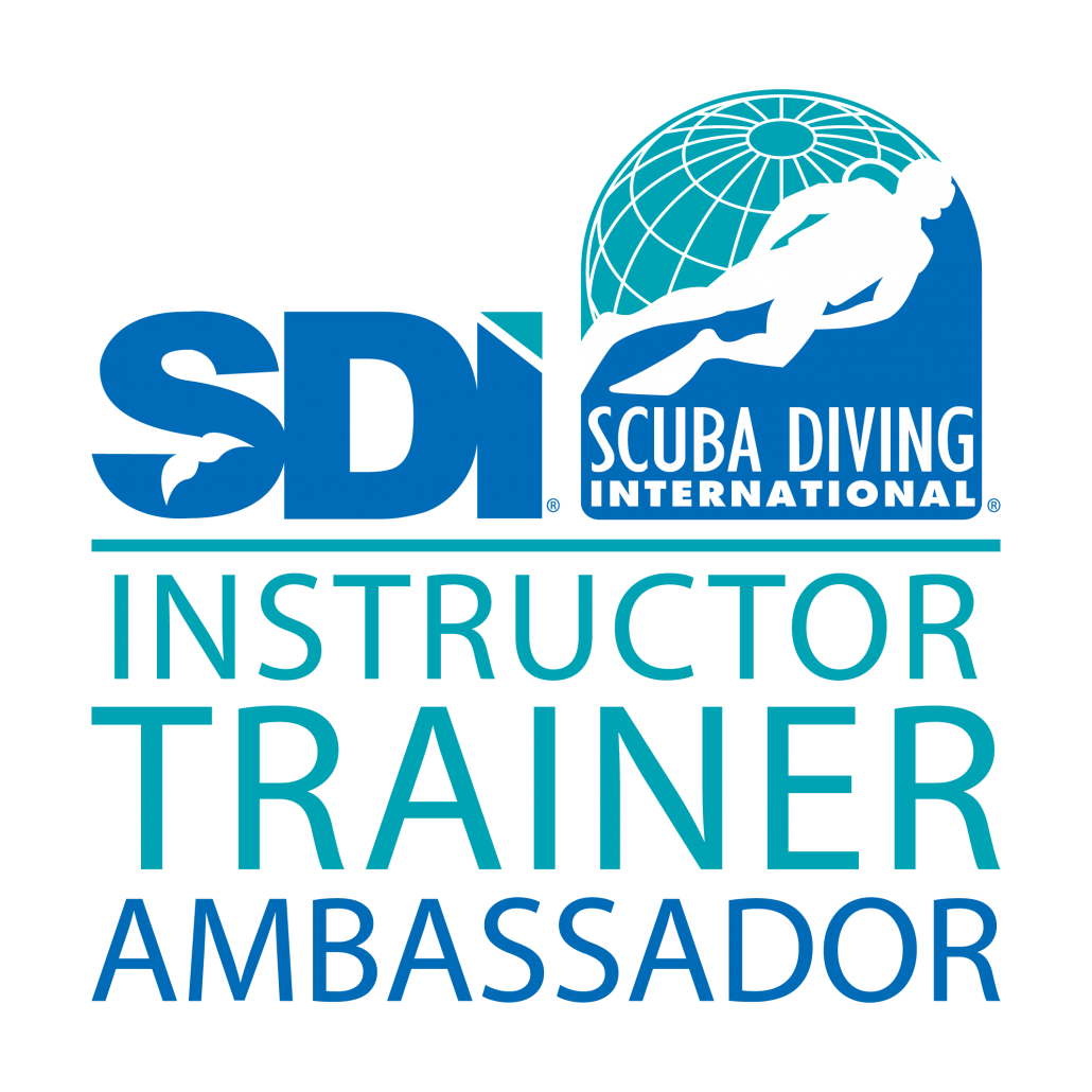 IT_Swag_logo_color_v0119-01-1-1030x1030