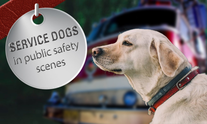 Service-dogs-in-Public-Safety-Scenes