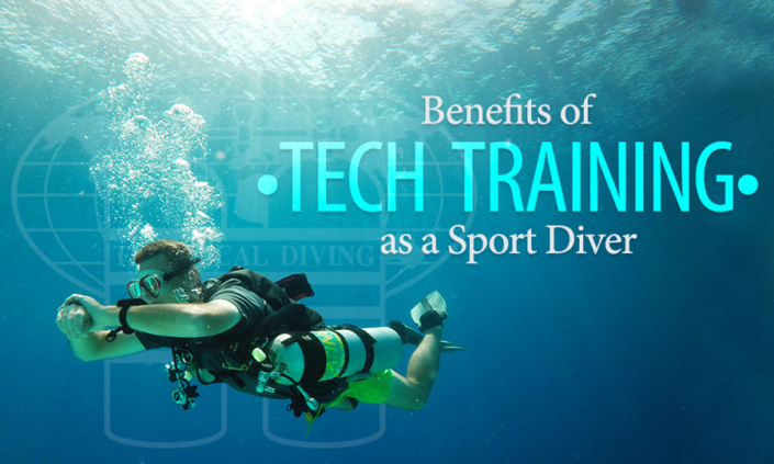 tech-course-progression-sfw