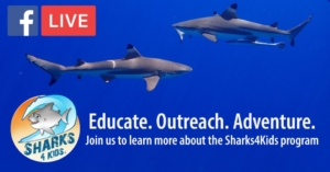 sharks4kids-1030x538